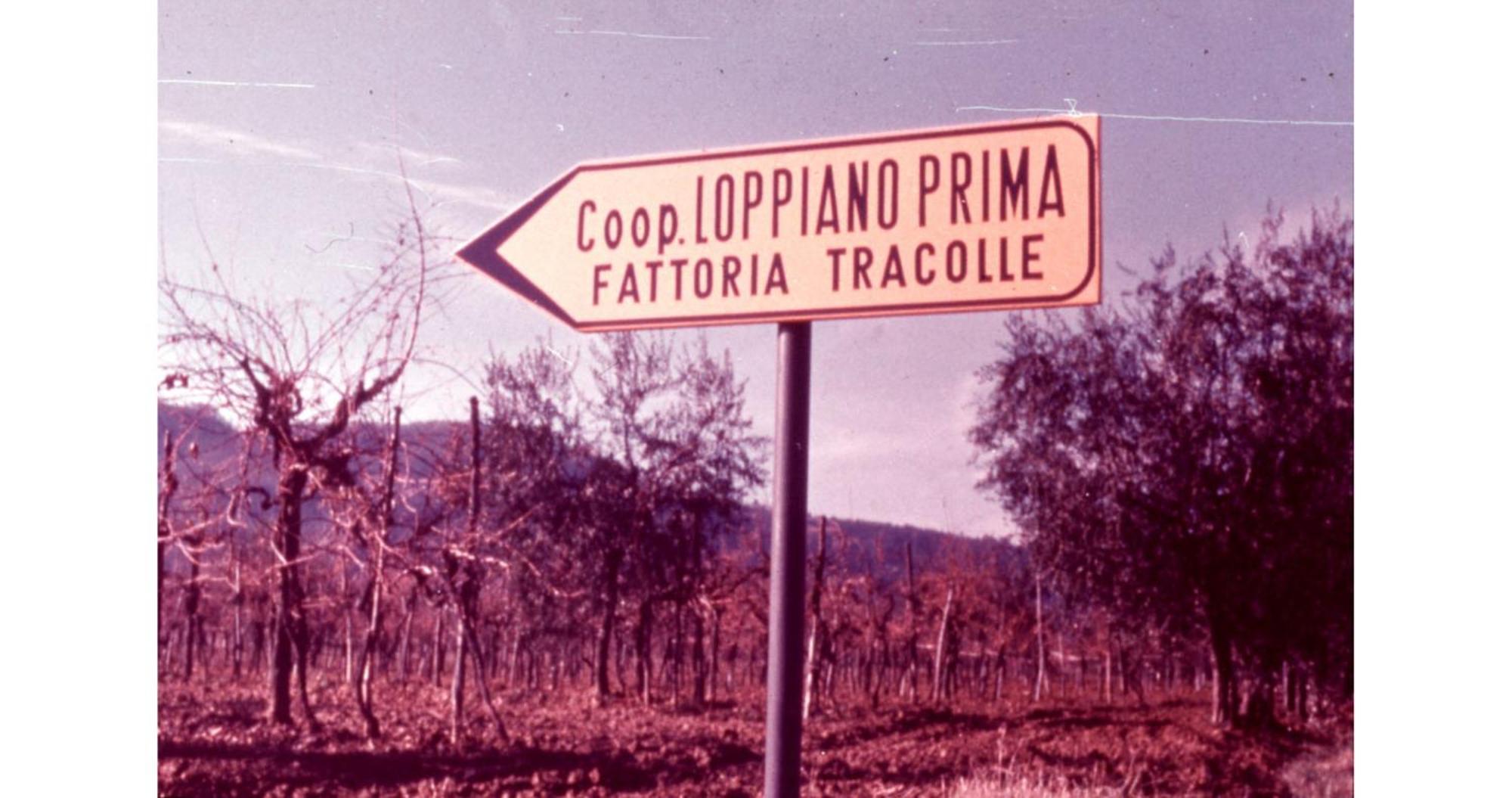 Agriturismo Fattoria Di Loppiano Regina Mundi Villa Vivajo Esterno foto
