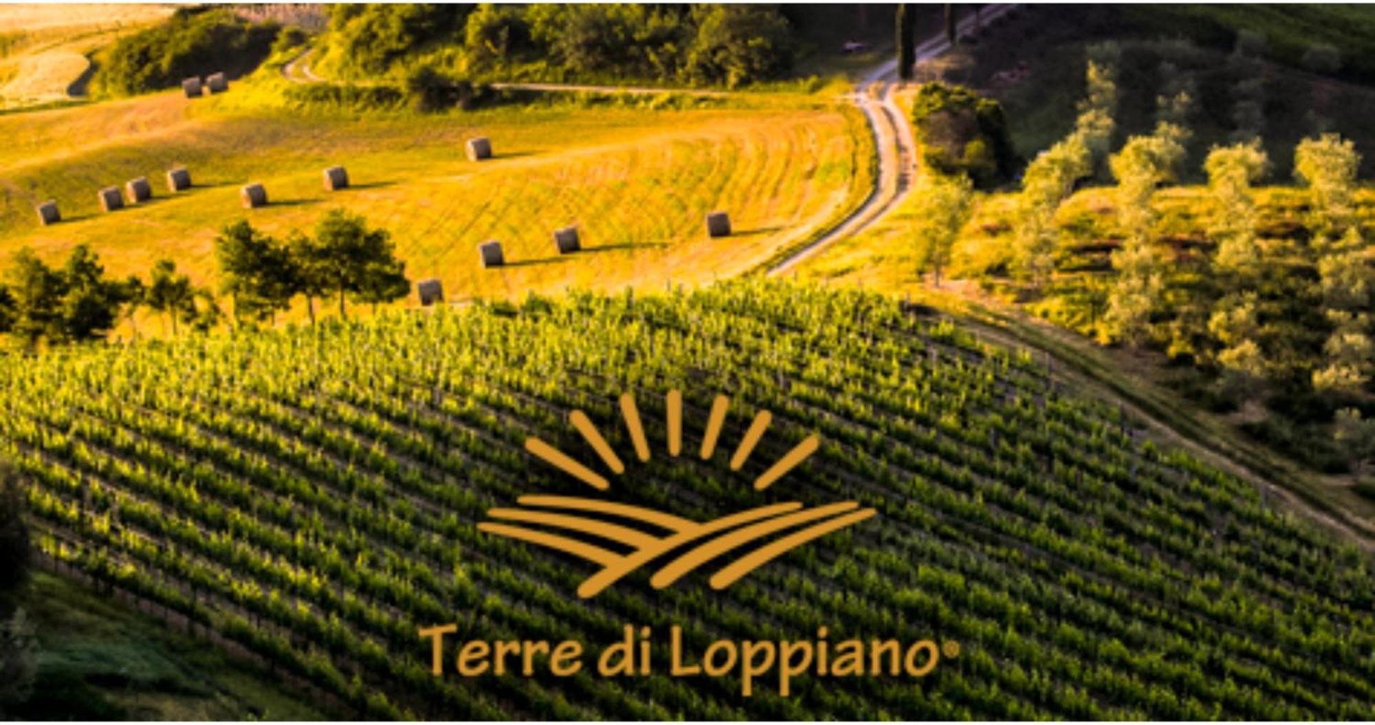 Agriturismo Fattoria Di Loppiano Regina Mundi Villa Vivajo Esterno foto